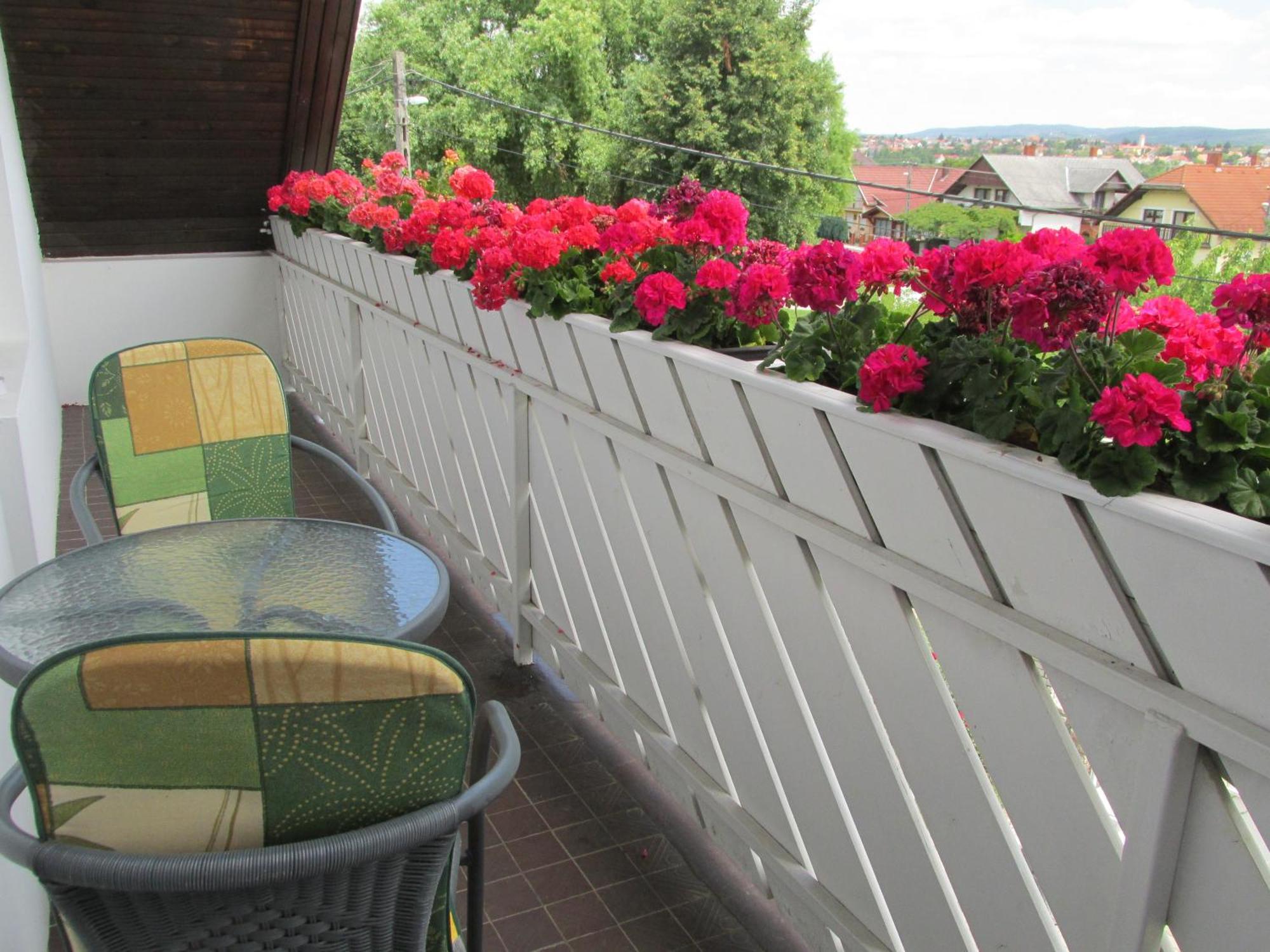 Betti Vendeghaz Apartment ออลโชปาโฮค ภายนอก รูปภาพ